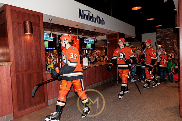 100426_ANAHEIM_DUCKS_RMR15161