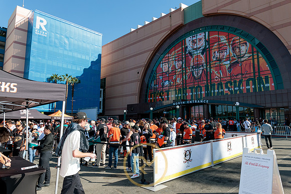 100426_ANAHEIM_DUCKS_RMR11357