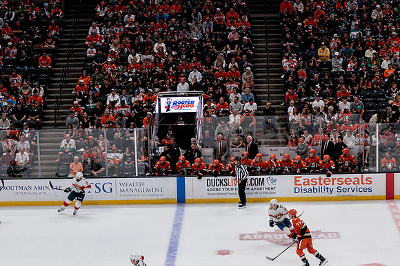 100426_ANAHEIM_DUCKS_RMR10120