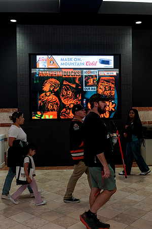 100426_ANAHEIM_DUCKS_RMR13213