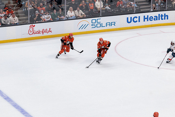 100426_ANAHEIM_DUCKS_RMR10350