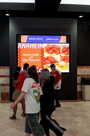 100426_ANAHEIM_DUCKS_RMR12722