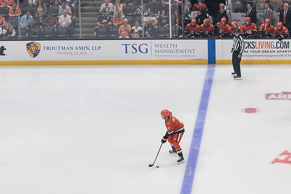 100426_ANAHEIM_DUCKS_RMR10946