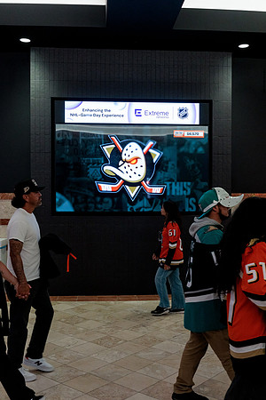100426_ANAHEIM_DUCKS_RMR13326