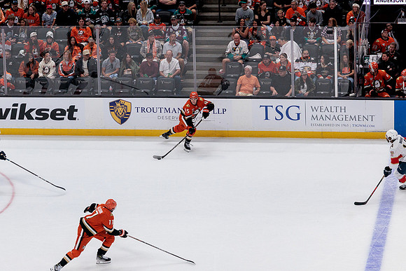 100426_ANAHEIM_DUCKS_RMR10245