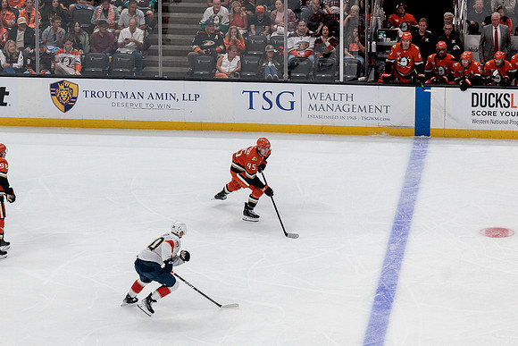 100426_ANAHEIM_DUCKS_RMR17650