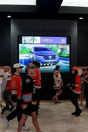 100426_ANAHEIM_DUCKS_RMR13554