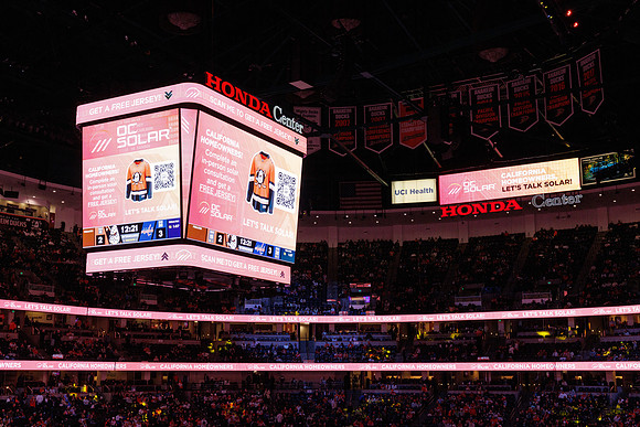 031125_ANAHEIM_DUCKS_1408