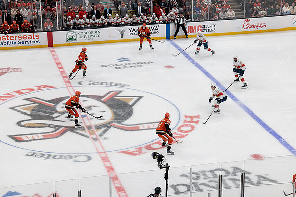 100426_ANAHEIM_DUCKS_RMR16938