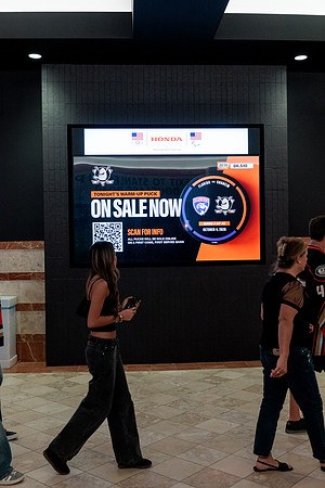 100426_ANAHEIM_DUCKS_RMR13065