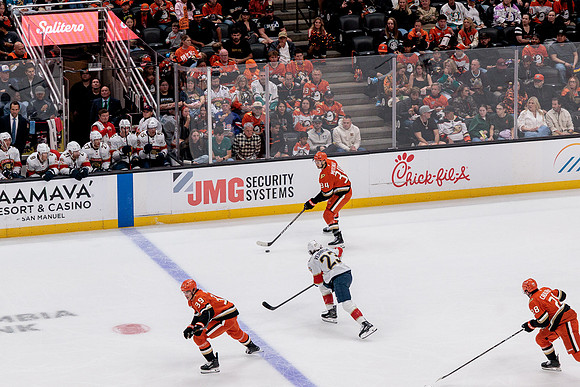 100426_ANAHEIM_DUCKS_RMR12565