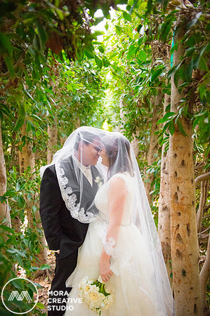 WEDDING_111415_01126