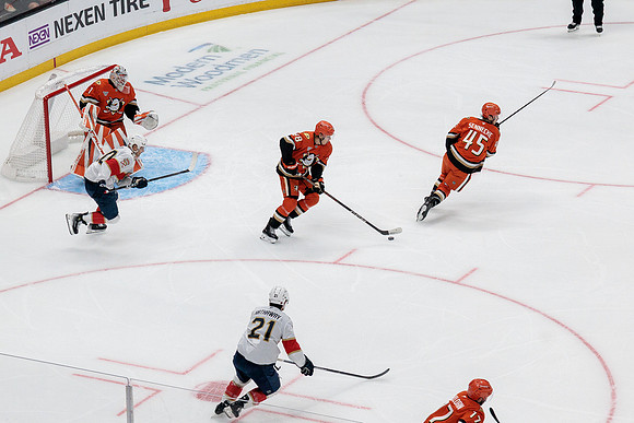 100426_ANAHEIM_DUCKS_RMR17612