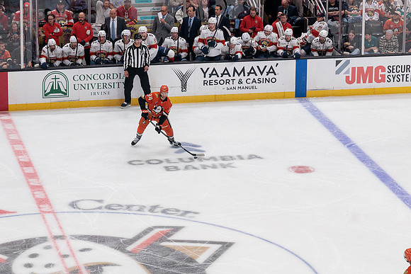 100426_ANAHEIM_DUCKS_RMR11548