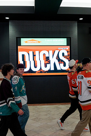 100426_ANAHEIM_DUCKS_RMR12475