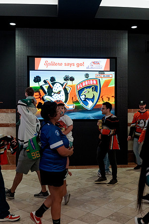 100426_ANAHEIM_DUCKS_RMR12655