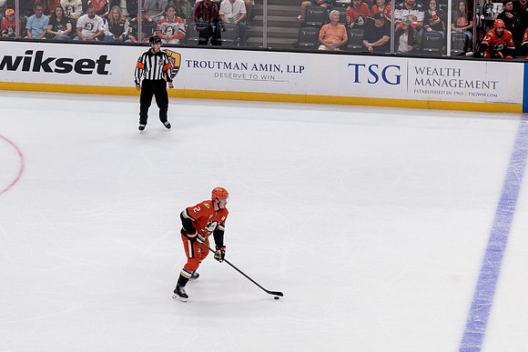 100426_ANAHEIM_DUCKS_RMR10172