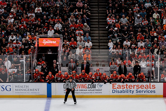 100426_ANAHEIM_DUCKS_RMR18813