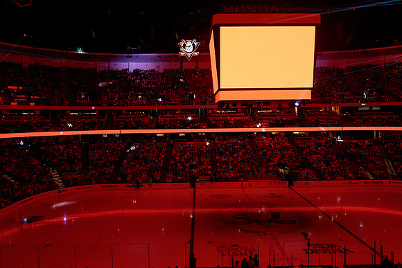 100426_ANAHEIM_DUCKS_RMR16158