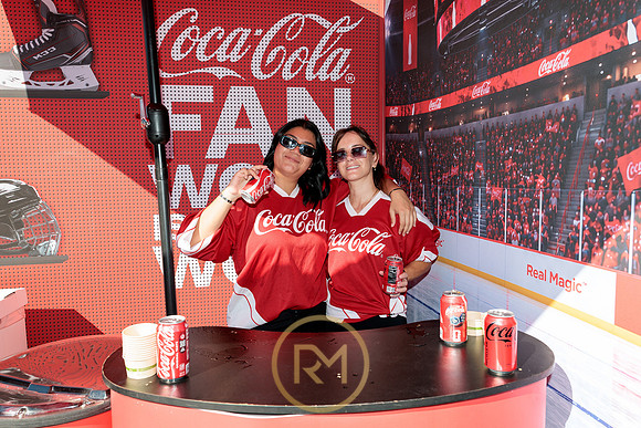 100426_ANAHEIM_DUCKS_RMR11338