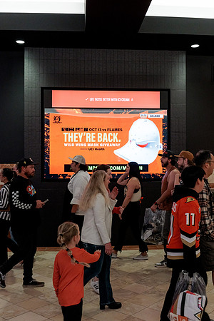 100426_ANAHEIM_DUCKS_RMR12877