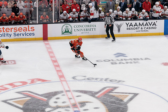 100426_ANAHEIM_DUCKS_RMR11612