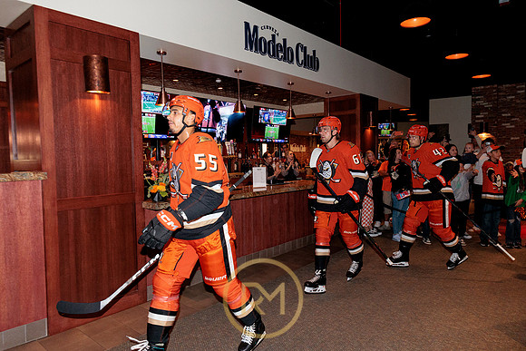 100426_ANAHEIM_DUCKS_RMR15175