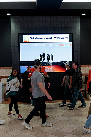 100426_ANAHEIM_DUCKS_RMR14621