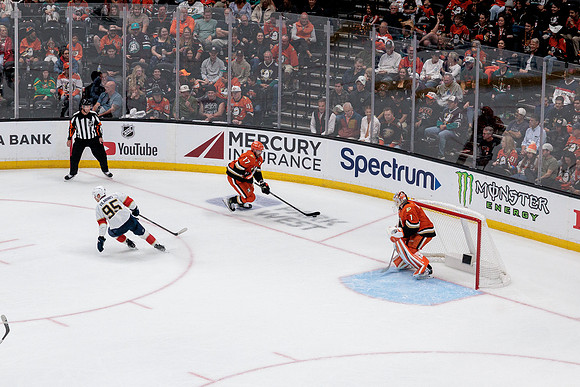 100426_ANAHEIM_DUCKS_RMR12800