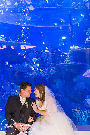WEDDING_111415_01213