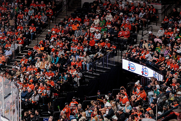 100426_ANAHEIM_DUCKS_RMR12845A