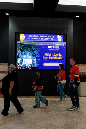 100426_ANAHEIM_DUCKS_RMR13618