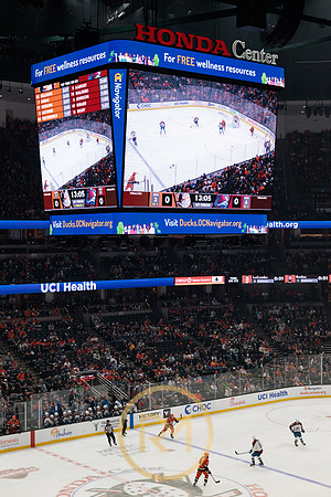 041325_ANAHEIM_DUCKS_099