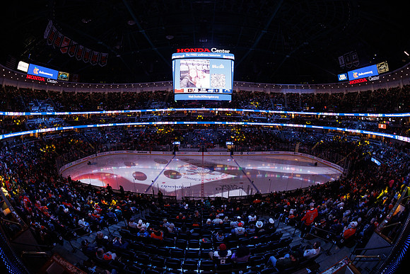 031125_ANAHEIM_DUCKS_0237