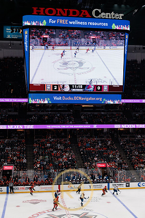 041325_ANAHEIM_DUCKS_382