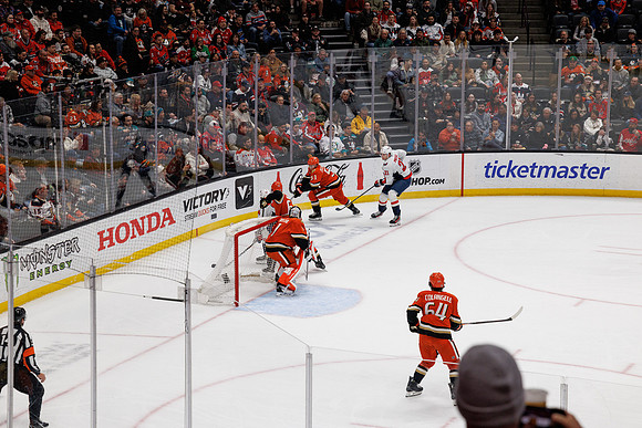031125_ANAHEIM_DUCKS_1100
