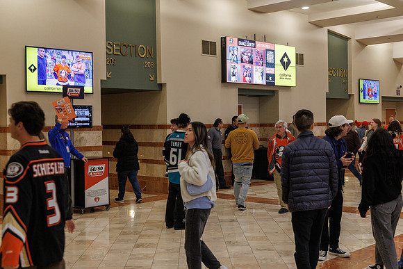 031125_ANAHEIM_DUCKS_0851