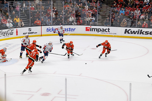 031125_ANAHEIM_DUCKS_1144