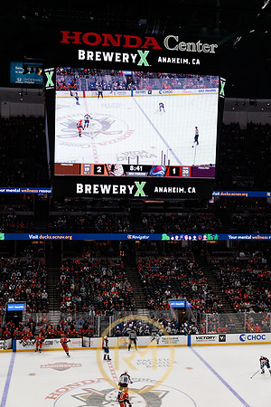 041325_ANAHEIM_DUCKS_393
