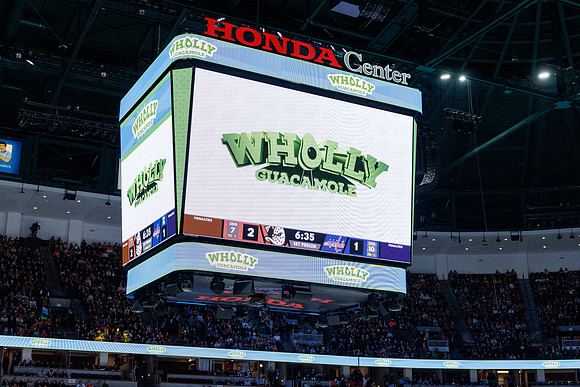 031125_ANAHEIM_DUCKS_1082