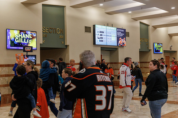 031125_ANAHEIM_DUCKS_0791