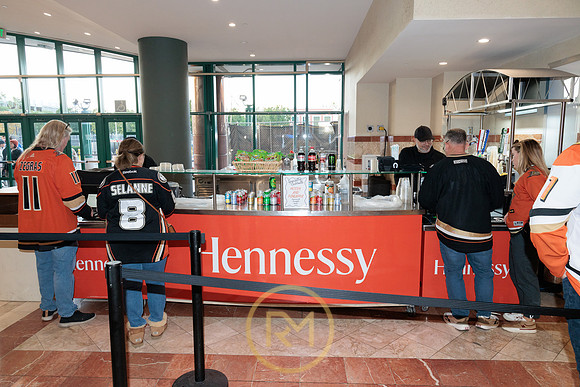 041325_ANAHEIM_DUCKS_064