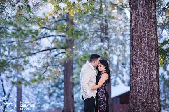 ENGAGEMENT_022415_0061