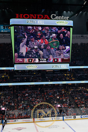 041325_ANAHEIM_DUCKS_339