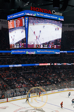 041325_ANAHEIM_DUCKS_098