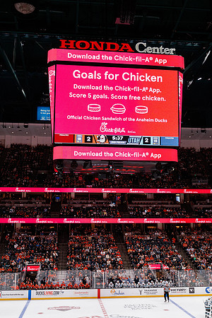 101624_ANAHEIM_DUCKS_0612