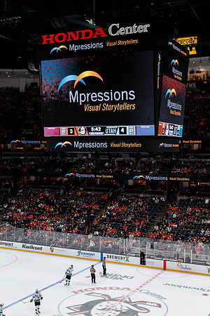 101624_ANAHEIM_DUCKS_0782