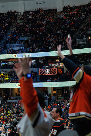031125_ANAHEIM_DUCKS_1141