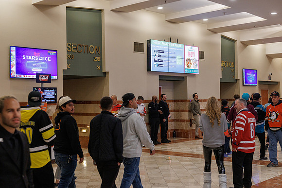 031125_ANAHEIM_DUCKS_0783