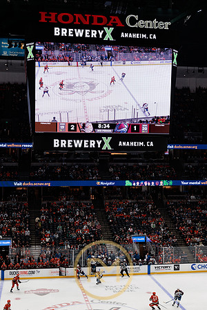 041325_ANAHEIM_DUCKS_395